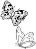 Butterflies -1