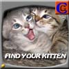 Find your Kitten