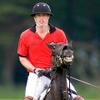 Harry & William Polo Horse Game