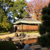 Jigsaw: Japanese Cottage
