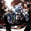 Motorcycle Chopper