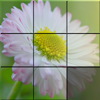 Sliding Puzzle: Flowers