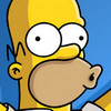 The Simpsons Homer Woho