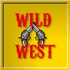 Wild West Reaction 2